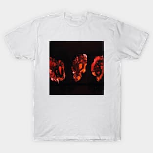 Deathspell Omega Knse Album Cover T-Shirt